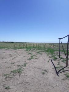 San Rafael, Mendoza 00001, Argentine