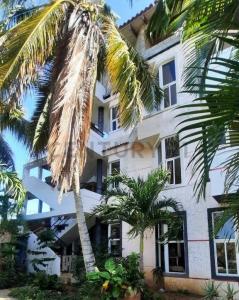 Av. principal Mario Oliveros S/N, San Juan Bautista, Nueva Esparta 6311, 委内瑞拉