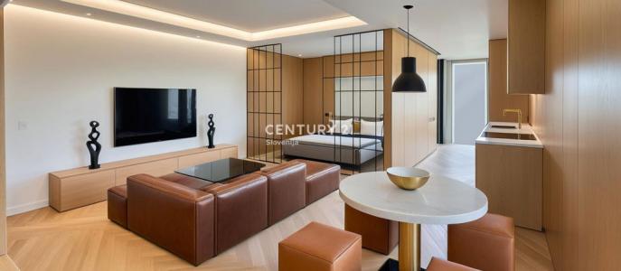 Ljubljana, Srednje Gameljne, Ljubljana, Osrednjeslovenska 1211, 斯洛文尼亚