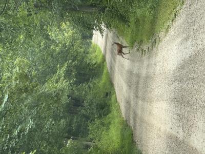 Peggy Hollow Road, Shoals, Indiana 47581