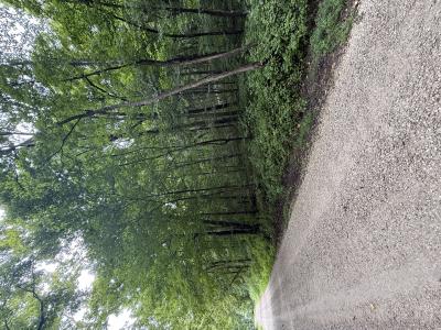 Peggy Hollow Road, Shoals, Indiana 47581