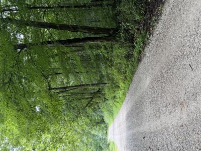 Peggy Hollow Road, Shoals, Indiana 47581