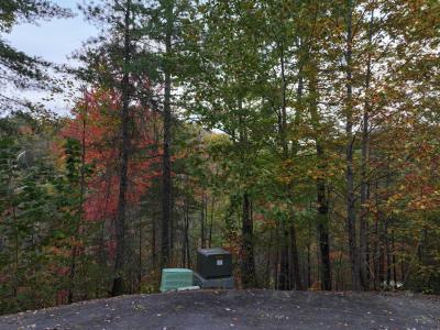 Lot 18 Turkey Creek Way, Sevierville, Tennessee 37862, USA