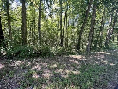 0 Old Draketown Trail 5.62 Acres, Temple, Georgia 30179, USA