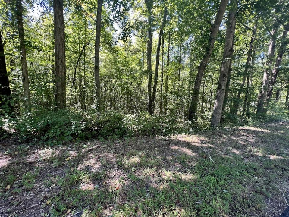 0 Old Draketown Trail 5.62 Acres, Temple, Джорджия 30179, Соединенные Штаты