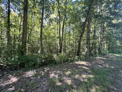 0 Old Draketown Trail 5.62 Acres, Temple, Джорджия 30179, Соединенные Штаты