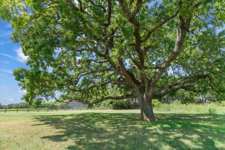 600 VZCR 3528, Wills Point, טקסס 75169, ארצות הברית של אמריקה