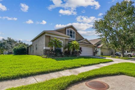 34828 Prairie Ridge Way, Zephyrhills, פלורידה 33541, ארצות הברית של אמריקה 