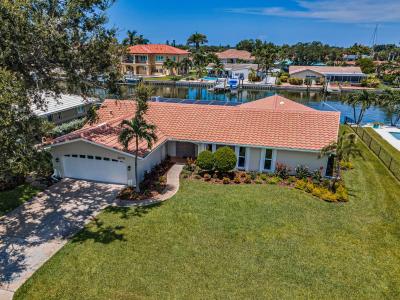 1979 Iowa Ave NE, St Petersburg Beach, Florida 33703, Amerika Birleşik Devletleri