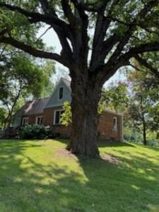 16683 Winters Road, Grass Lake, Michigan 49240