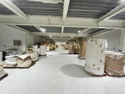 博物館路, Bali Dist., New Taipei City 249, Taiwan