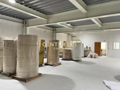 博物館路, Bali Dist., New Taipei City 249, Taiwan