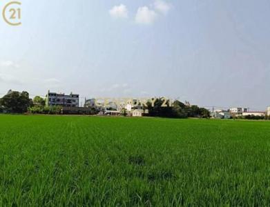 秀祐段, Baihe Dist., Tainan 732, Taiwan