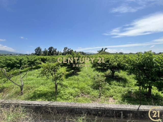 利家段, Beinan Township, Taitung County 954, Taiwan