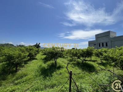 利家段, Beinan Township, Taitung County 954, Taiwan