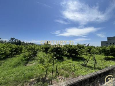 利家段, Beinan Township, Taitung County 954, Taiwan