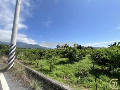 利家段, Beinan Township, Taitung County 954, Taiwan