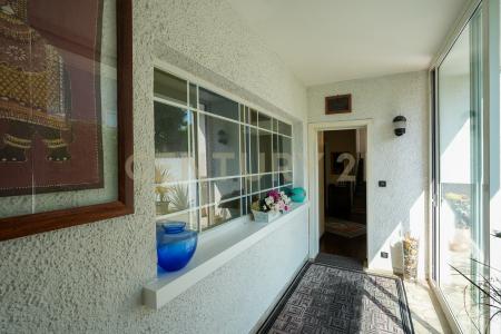 Via F. Petrarca, Legnago, Veneto 37045, איטליה