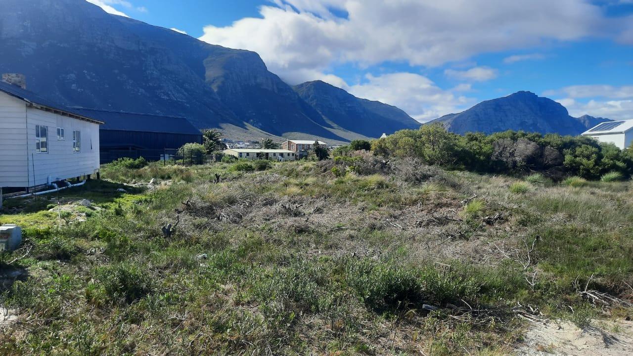 Bettys Bay, Western Cape, South Africa