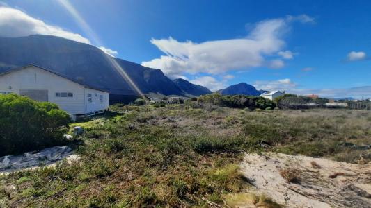 Bettys Bay, Western Cape, South Africa