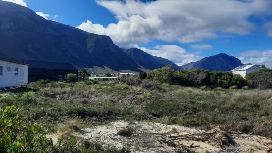 Bettys Bay, Western Cape, South Africa