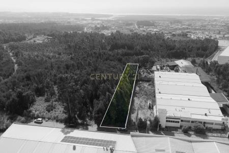 Espinho, 아베이루 4500-499, 포르투갈