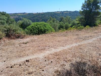 Azambuja, Lisboa 2050, Portugal