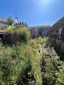 Rio Maior, Сантарен 2040-536, Португалия