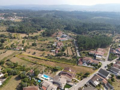 Vila Nova De Poiares, Coimbra 3350-097, Portugal