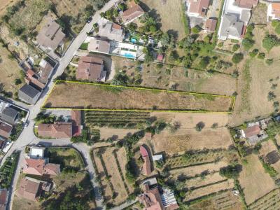 Vila Nova De Poiares, Coimbra 3350-097, Portugal