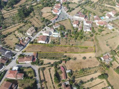 Vila Nova De Poiares, Coimbra 3350-097, Portugal