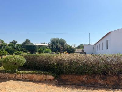 Silves, 法如 8300-132, 葡萄牙