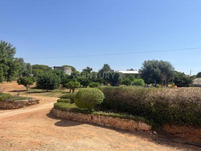 Silves, 法如 8300-132, 葡萄牙