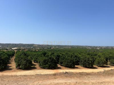 Silves, 法如 8300-132, 葡萄牙