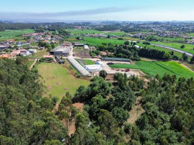 Maia, Porto 4475, Portugal