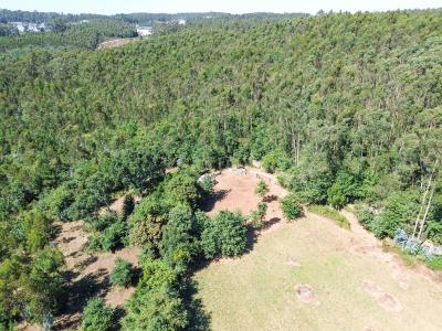 Maia, Porto 4475, Portugal