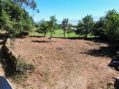 Maia, Porto 4475, Portugal