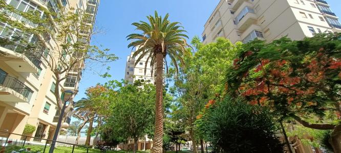 Santa Cruz De Tenerife, Canarias 38005, Spain