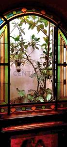 Pocitos, Montevideo 11300, Уругвай