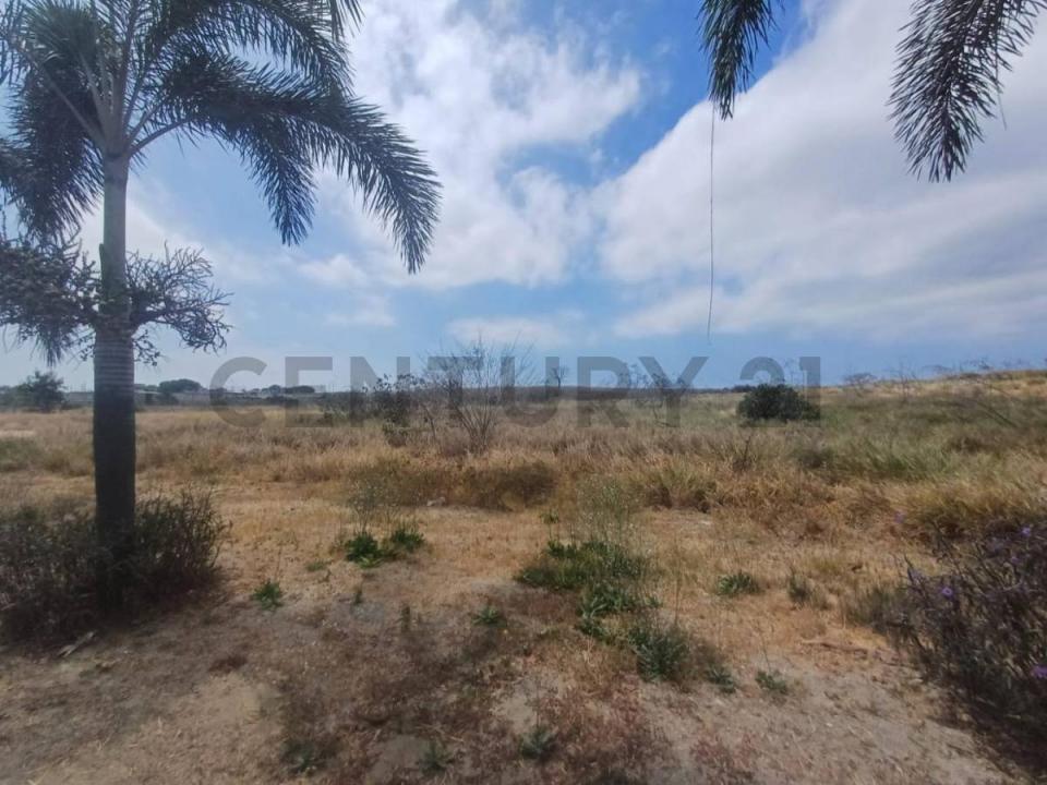 Redondel de la via Manta-Rocafuerte S/N, Jaramijo, Manabí 00001, אקוודור 