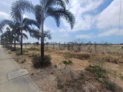 Redondel de la via Manta-Rocafuerte S/N, Jaramijo, Manabí 00001, אקוודור 