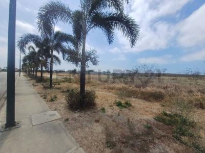 Redondel de la via Manta-Rocafuerte S/N, Jaramijo, Manabí 00001, אקוודור 