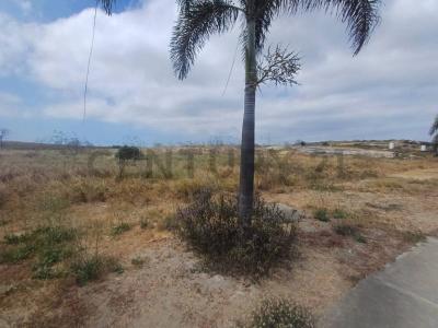 Redondel de la via Manta-Rocafuerte S/N, Jaramijo, Manabí 00001, אקוודור 