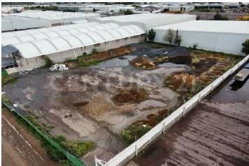 Aguascalientes, Aguascalientes 20283, Messico