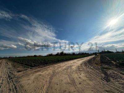 General San Martín, Mendoza 5581, Argentina