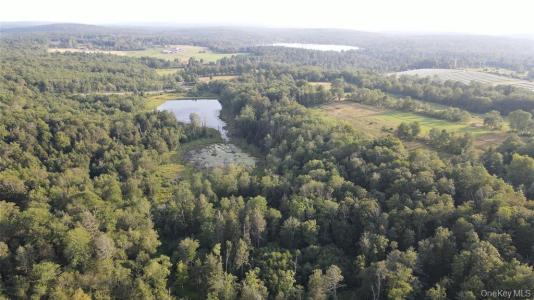 150 Sackett Lake Road, Monticello, New York 12701