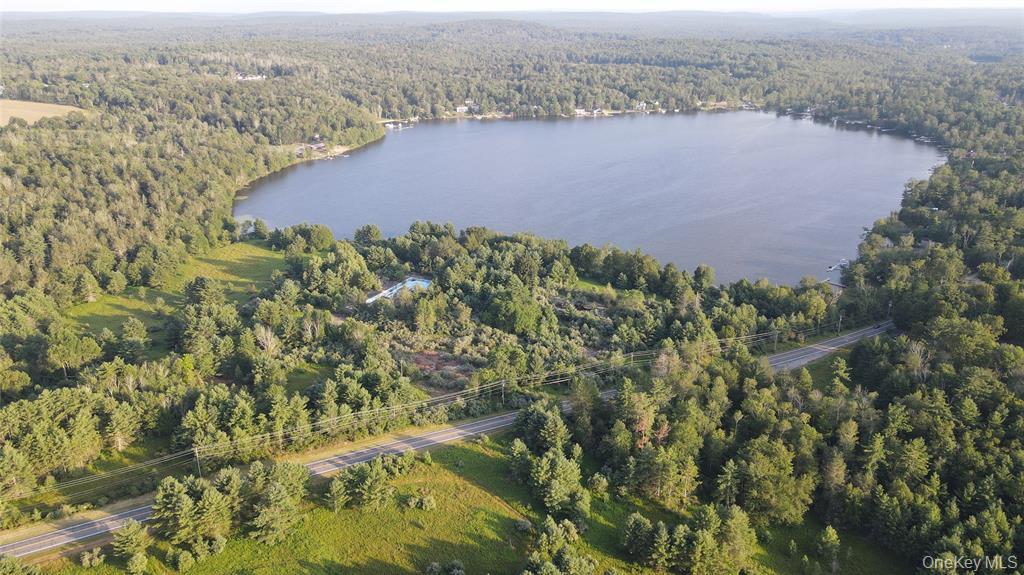 324 Acres Sackett Lake Rd, Monticello, New York 12701