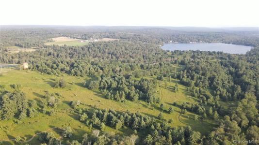 324 Acres Sackett Lake Rd, Monticello, New York 12701