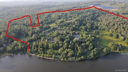 324 Acres Sackett Lake Rd, Monticello, New York 12701