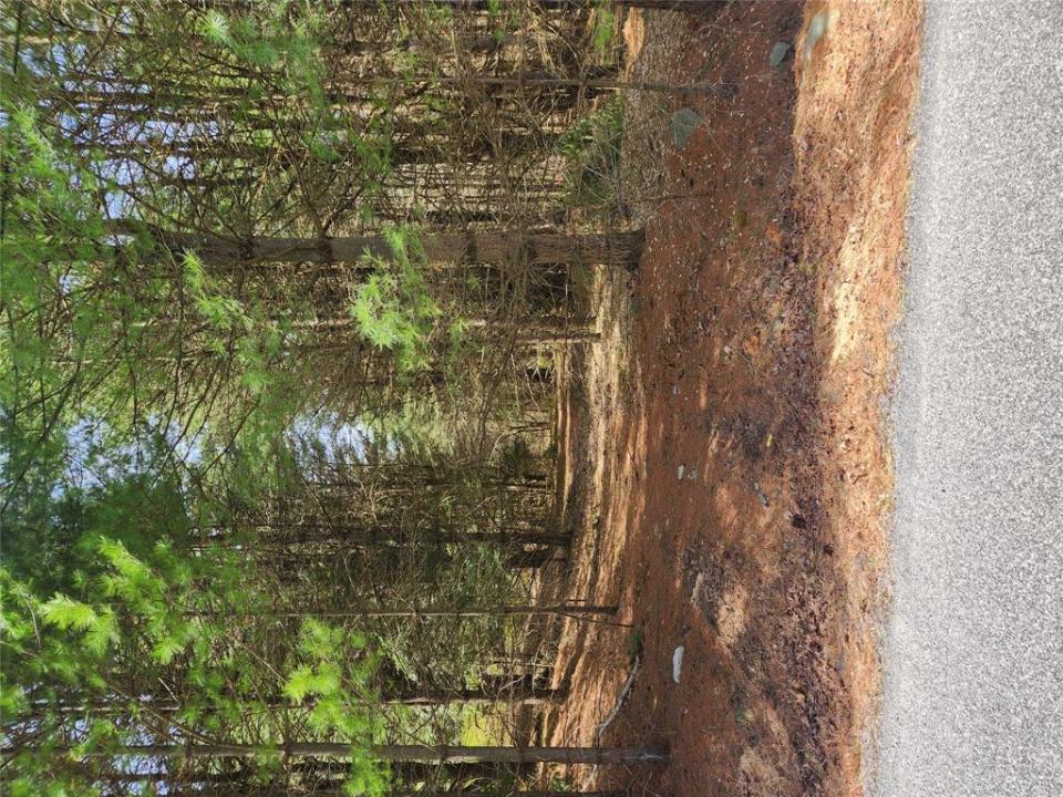 Lot 45 4th Circle, Rock Hill, New York 12775